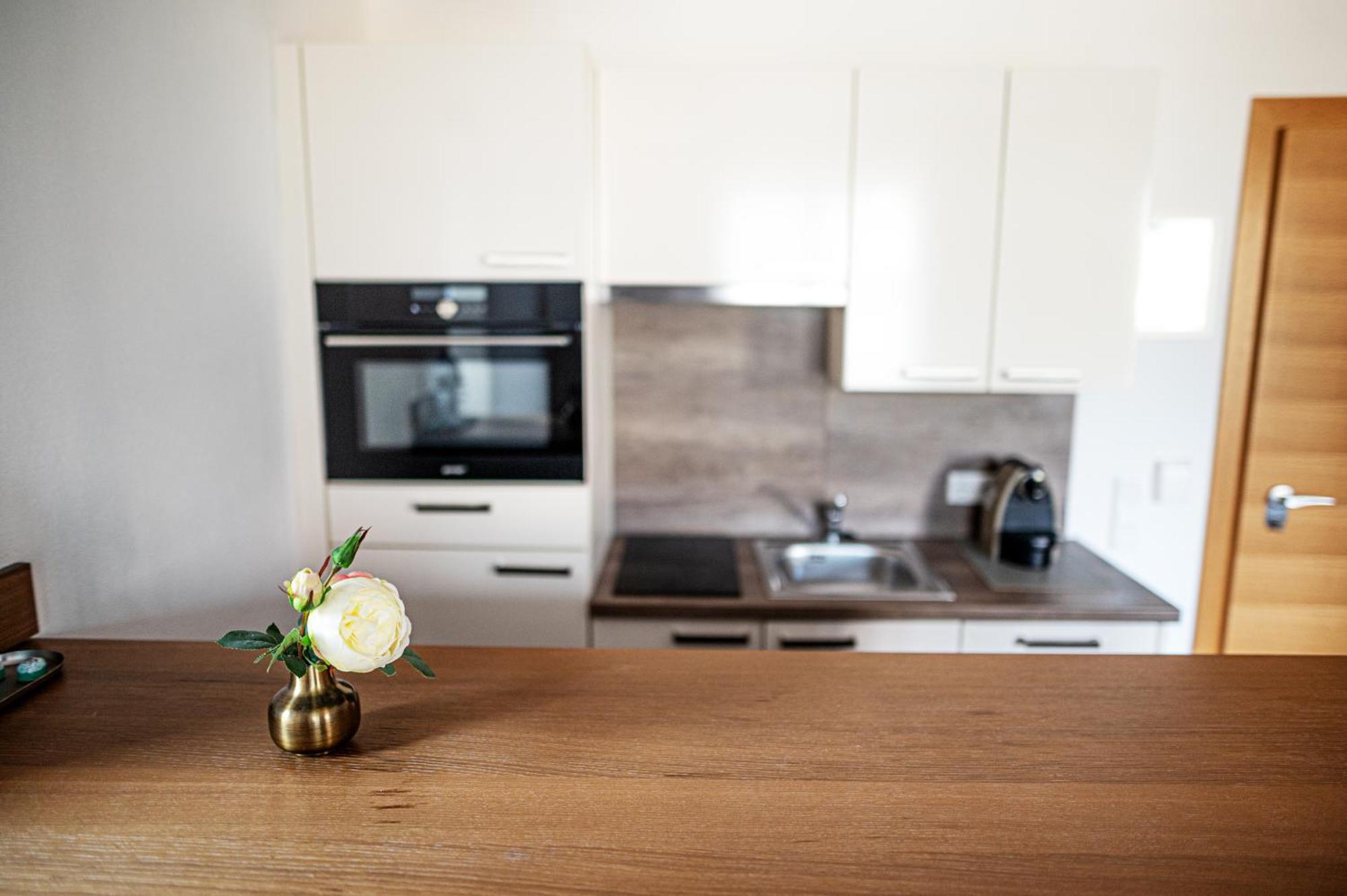 Apartmenthotel 'S Mitterndorf Traunkirchen Dış mekan fotoğraf