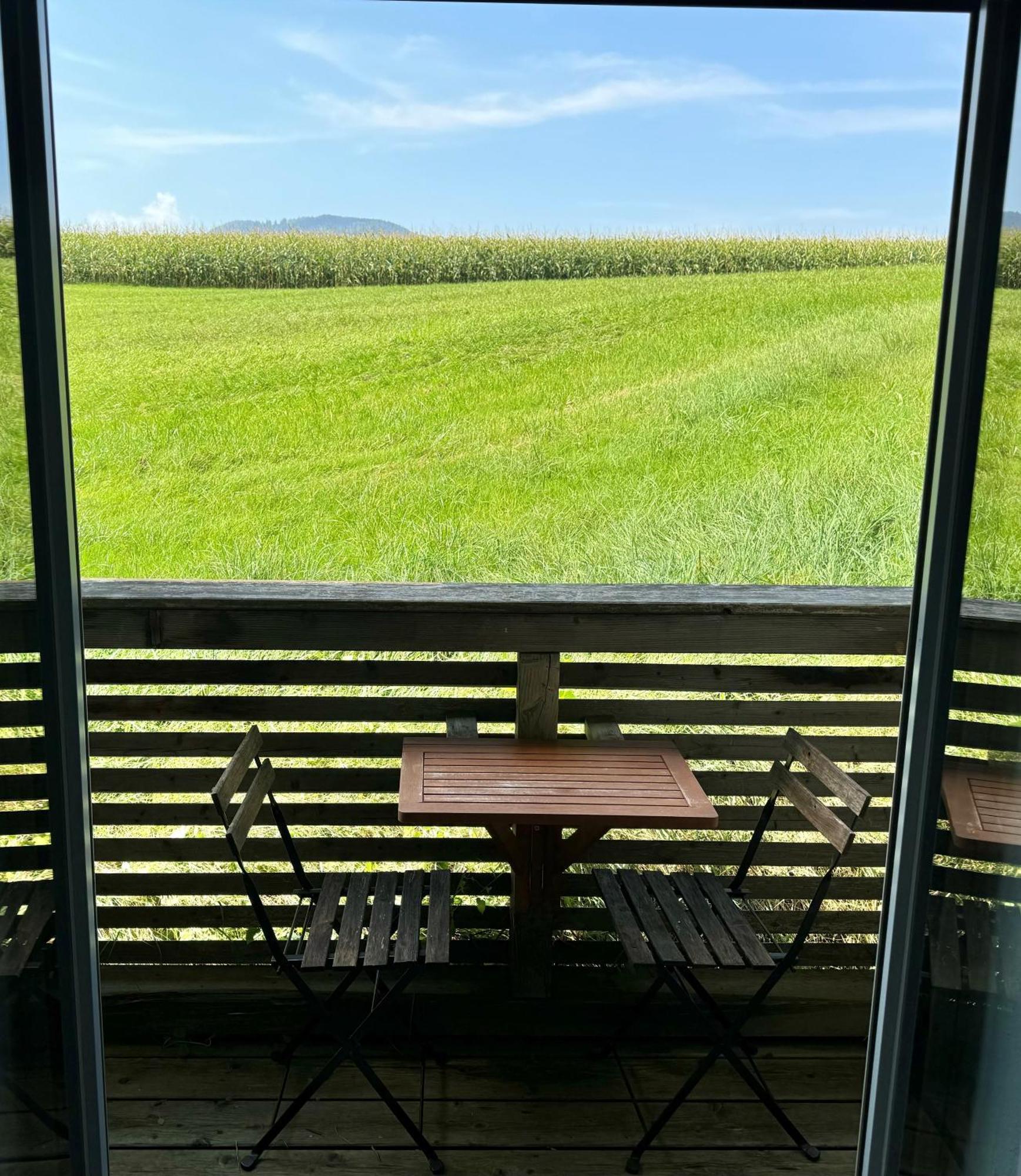 Apartmenthotel 'S Mitterndorf Traunkirchen Dış mekan fotoğraf